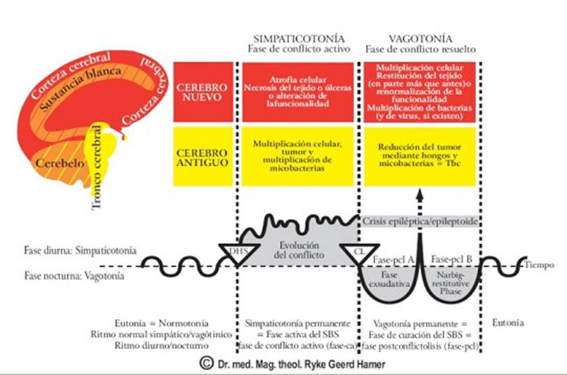 https://i1.wp.com/www.fm-institute.es/wp-content/uploads/2014/12/fases.jpg