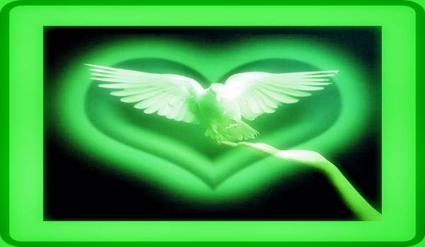 Green Dove