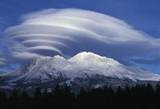 shasta
