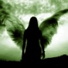 angel100