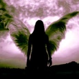 angelwing115