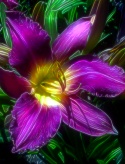 gaiaflower