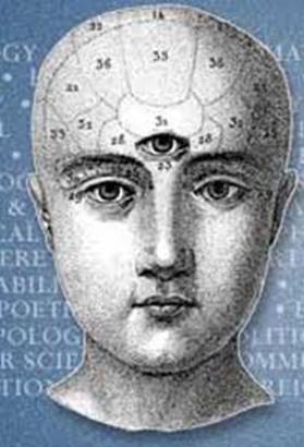 pineal 2
